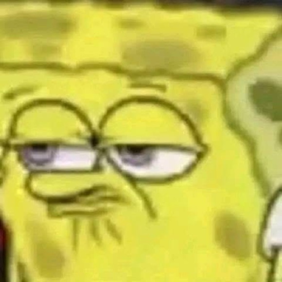 Meet your Posher, Nanii!! - Picture 5 of 9